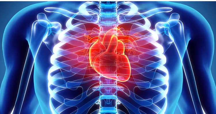 Cardiovascular Disease Prediction